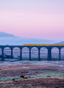 Broomdale